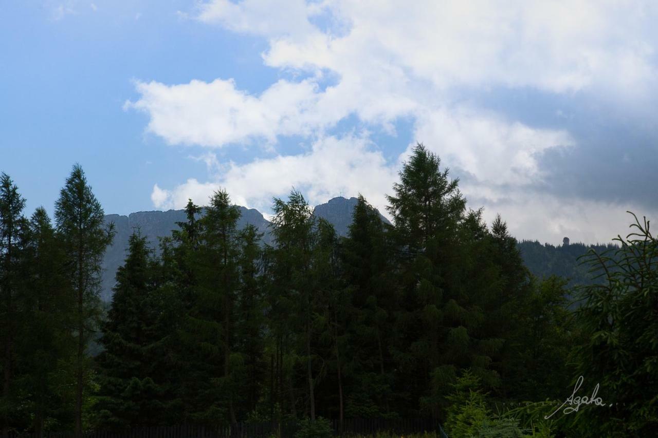 Apartament Krolewski Superior Z Sauna Zakopane Bagian luar foto