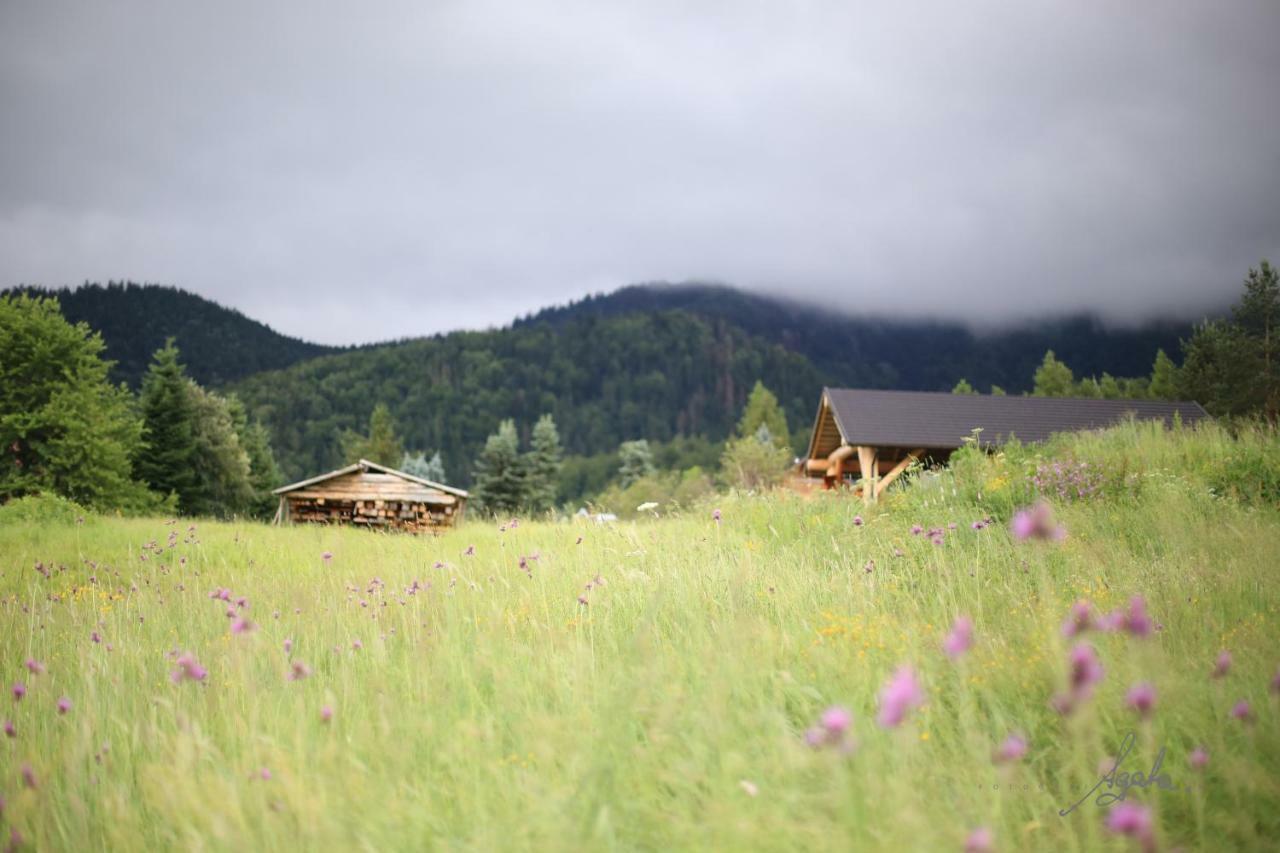 Apartament Krolewski Superior Z Sauna Zakopane Bagian luar foto